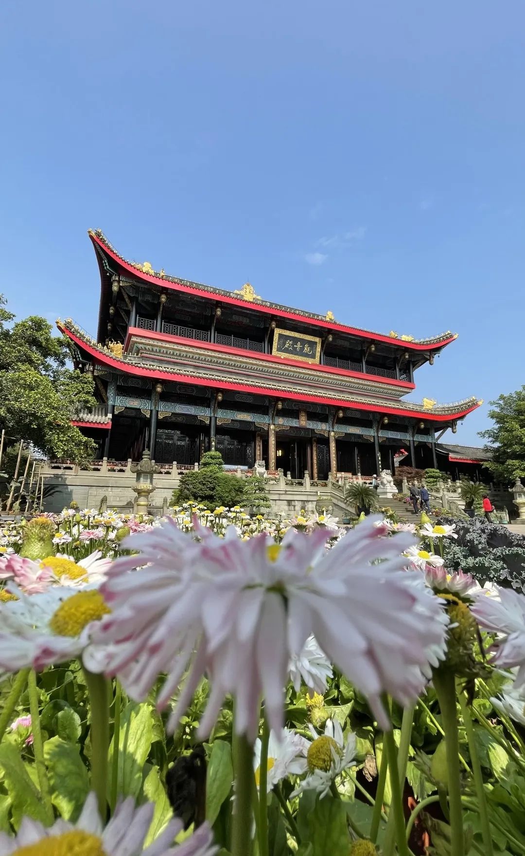 成都周边亲子游踏青地！打卡治愈系“世外桃源”，还有上百亩花海