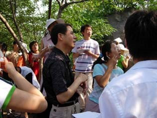 苏金乐：大树的记忆