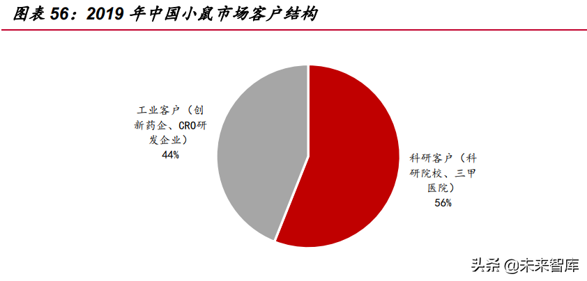 医药行业深度报告：医药研发热情高涨，模式小鼠方兴未艾