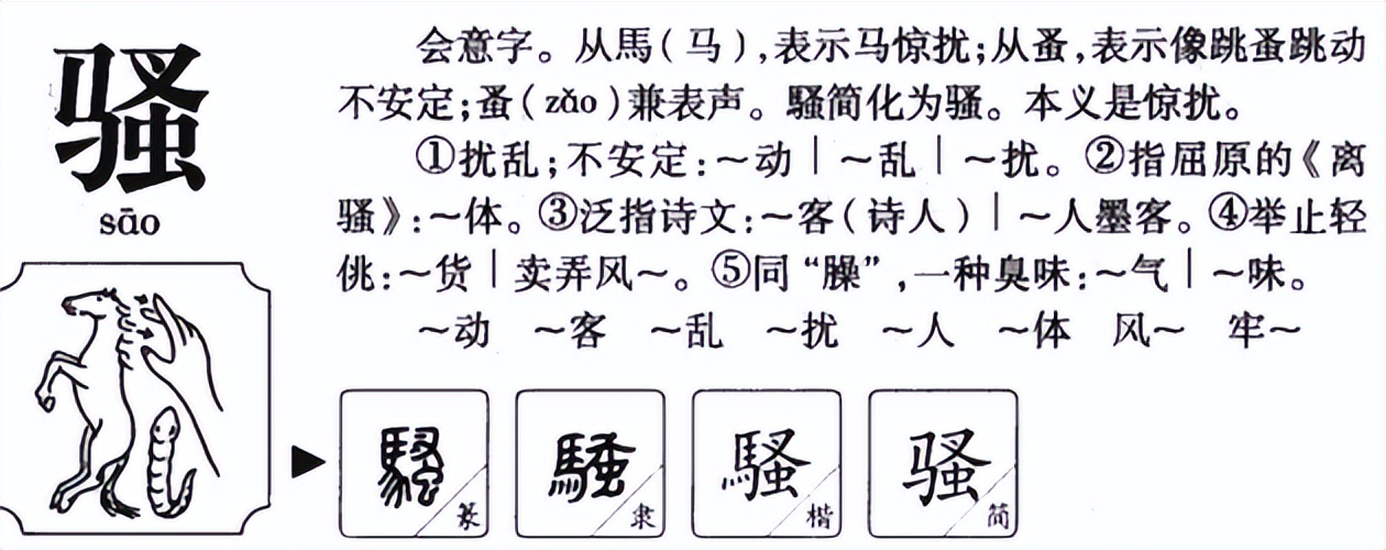 骚怎么读？骚的读音和意思