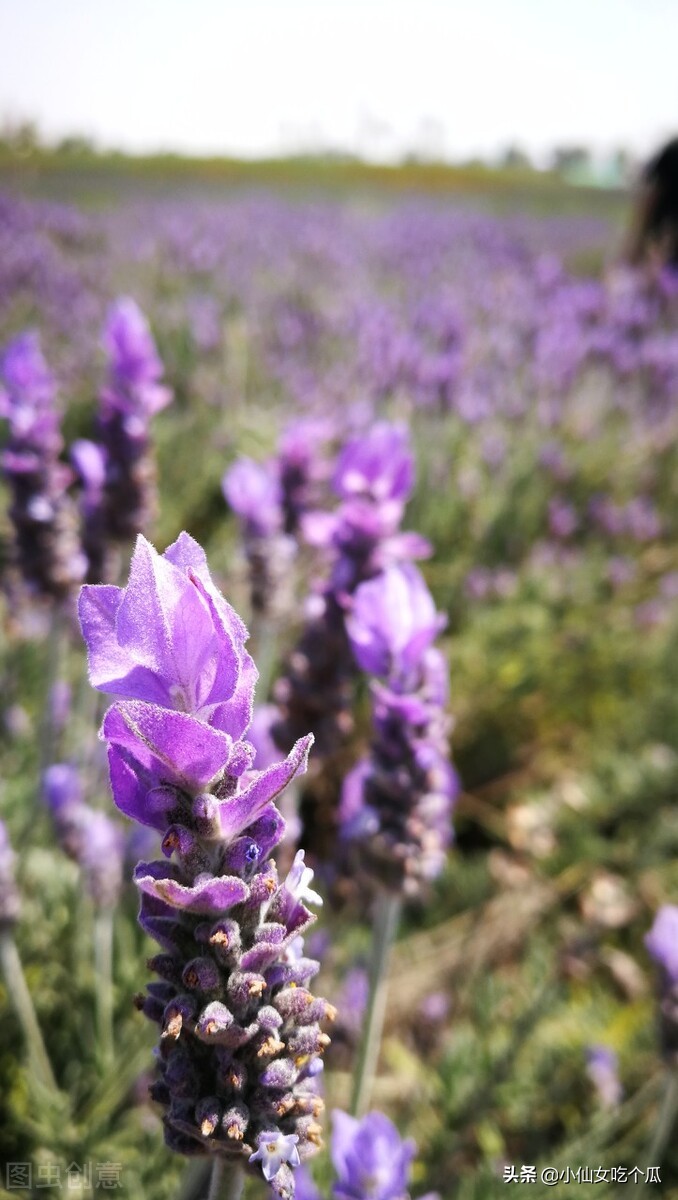 娱乐圈真正好命的女明星，豪门阔太究竟是表面光鲜还是真正幸福？