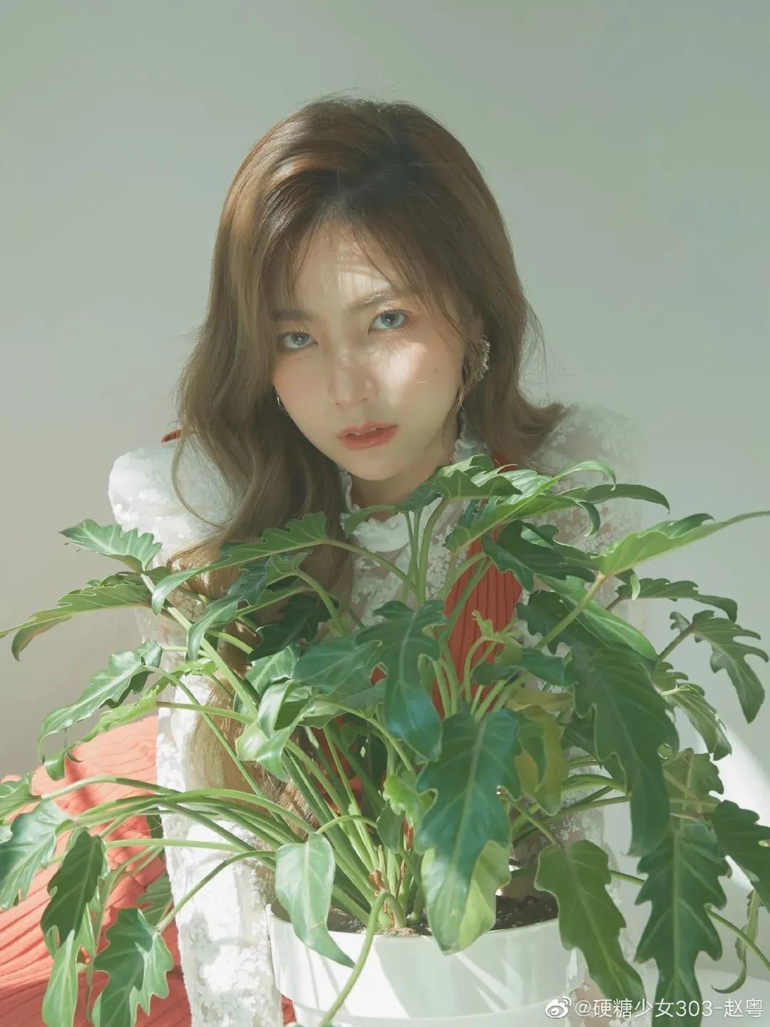 赵粤｜果然不愧是门面担当