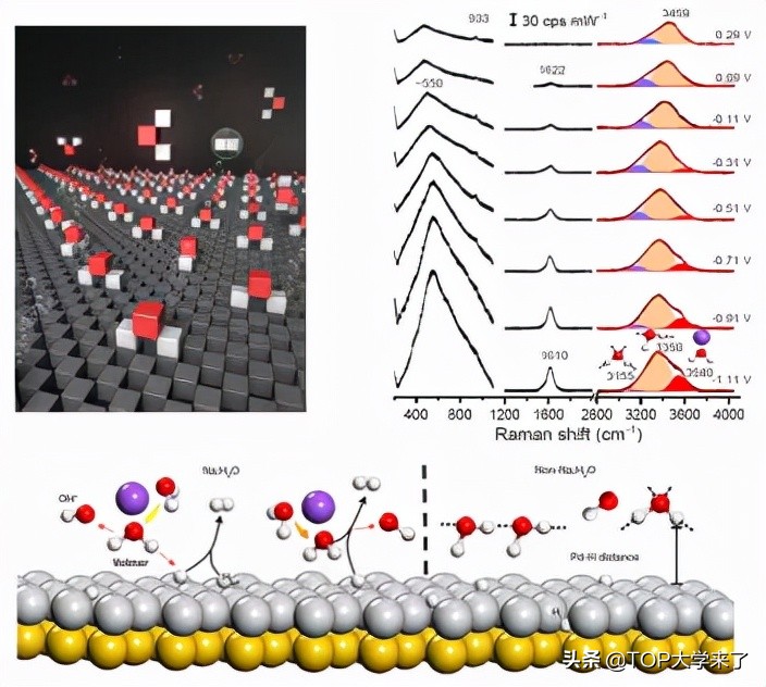 建院20周年献礼：北大深圳首篇《Nature》来了