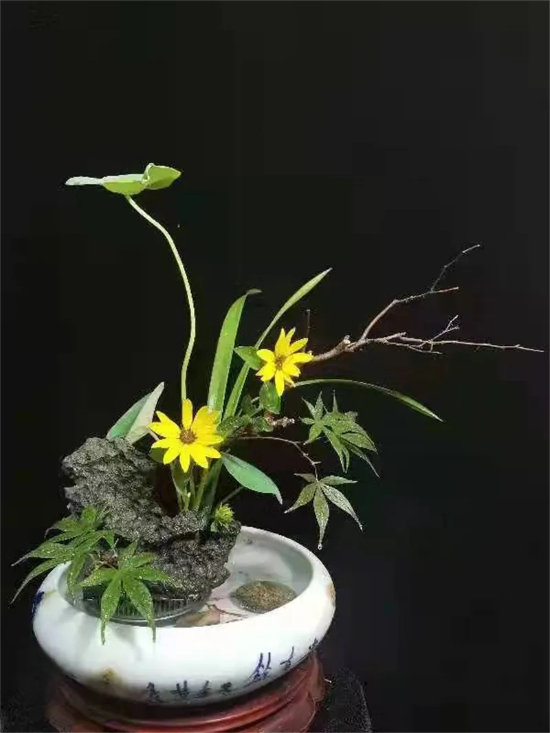 冬月插花：山茶未开梅先吐，风动帘旌雪花舞