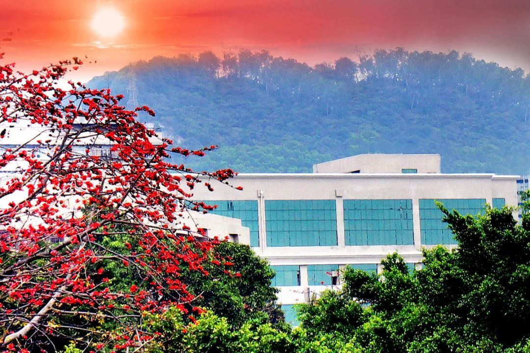 科普时间：你知道学信网可以查哪些学历？