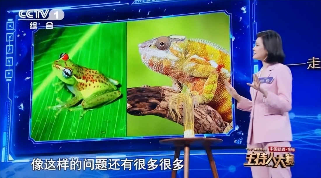 邹韵：9年磨一剑，主持人大赛金奖获得者，有望成为水均益接班人