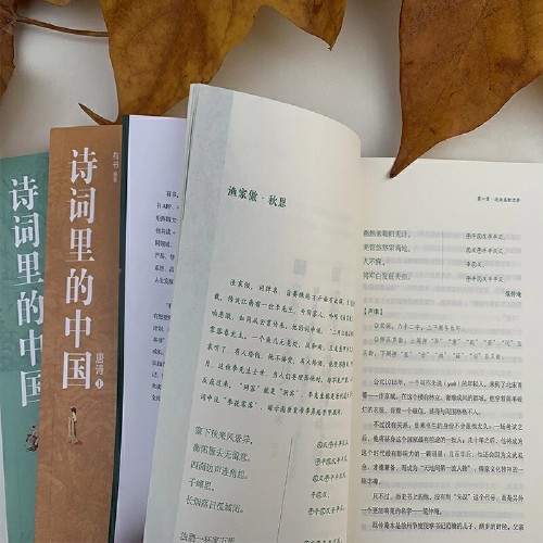古诗词里的色彩意境(在中国古诗词里)