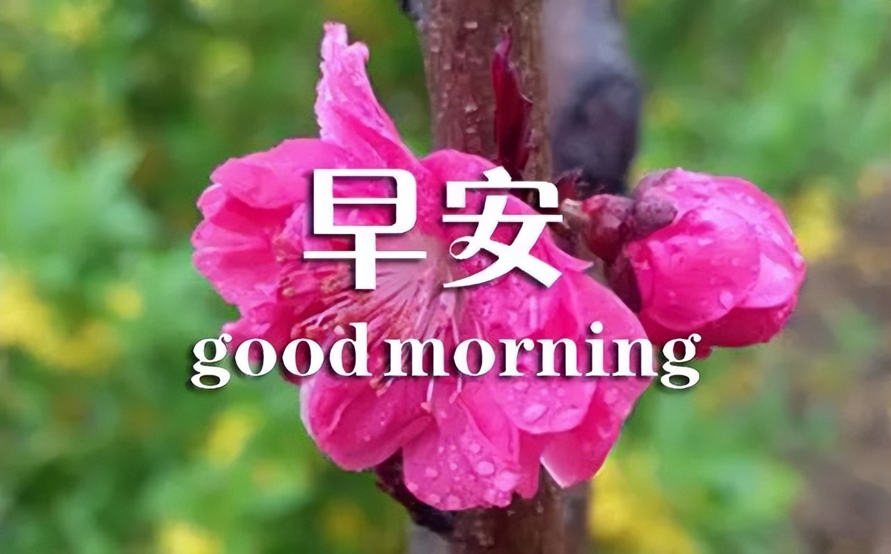 周日清晨暖人心的早上好问候语 一份友情，彼此永远珍藏在心底图片