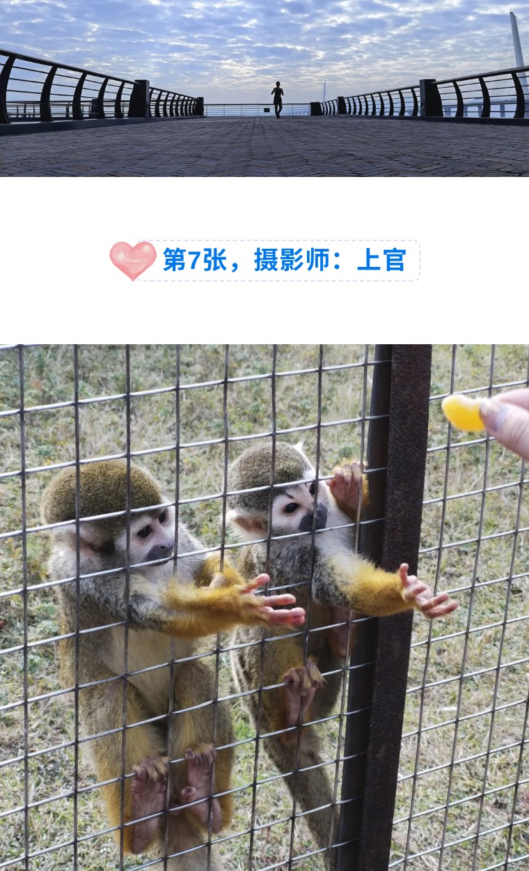 29个技巧，助您手机拍大片！（影展点评第482期）