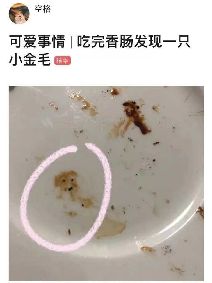 橘子晚报/大本洛佩兹结婚，邓紫棋改微博名字