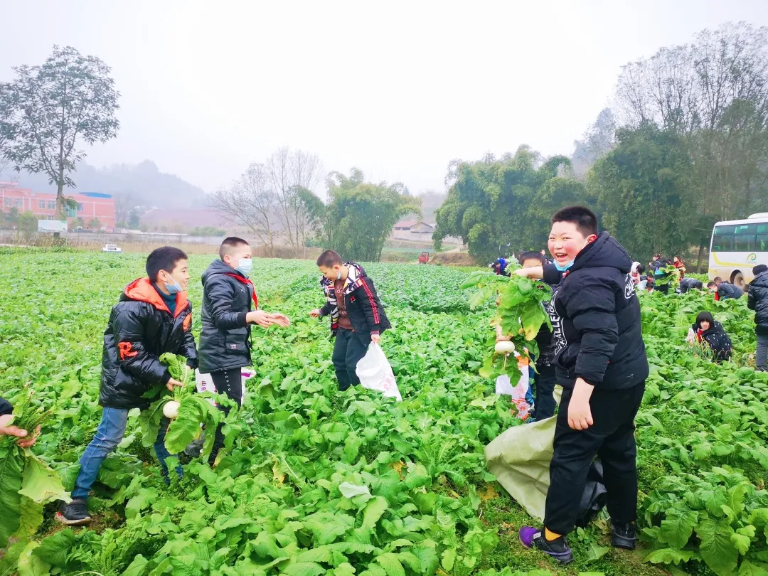 「城南小学•德育工作」小基地大收获 劳动实践快乐多