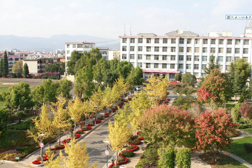 云南林业职业技术学院杨林校区2022报名须知