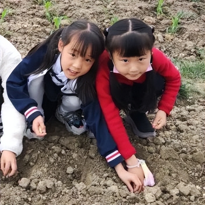 成都高新区朝阳小学开展“节气深耕·清明节气”主题活动