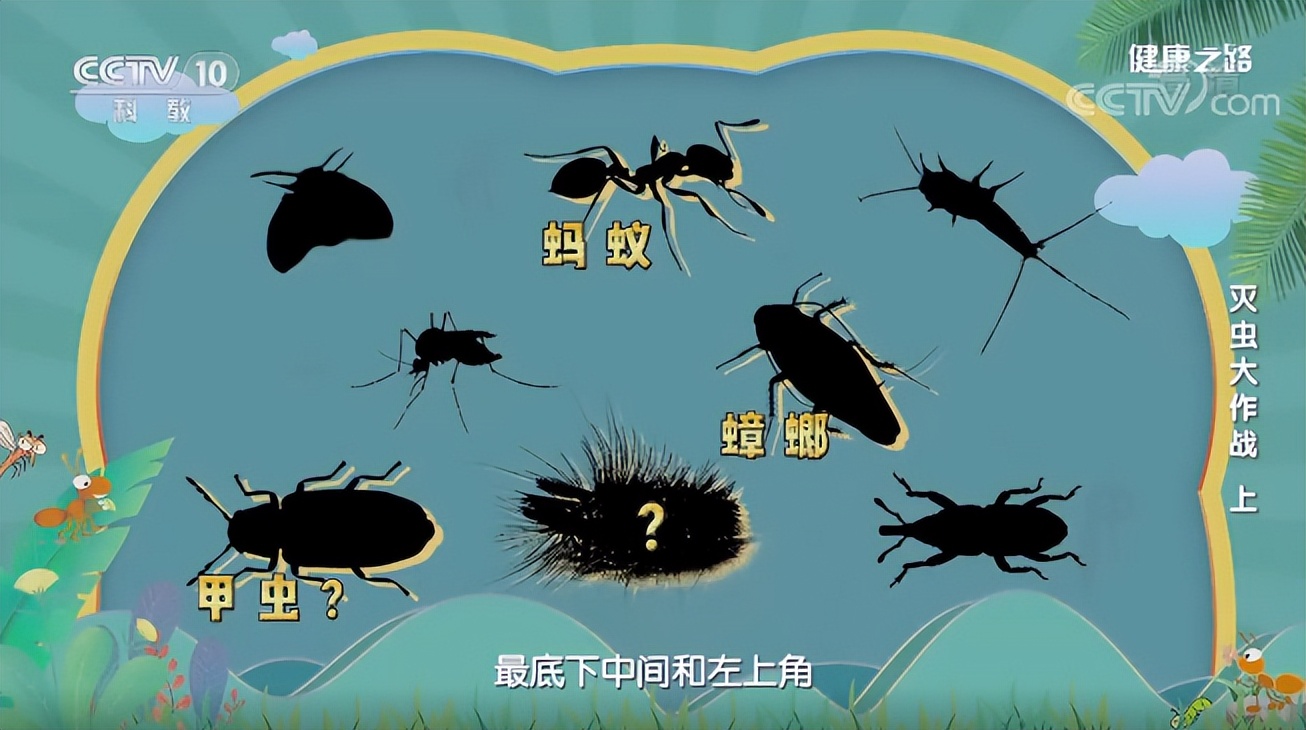 蚊子最愛叮什么血型的人，你知道嗎？
