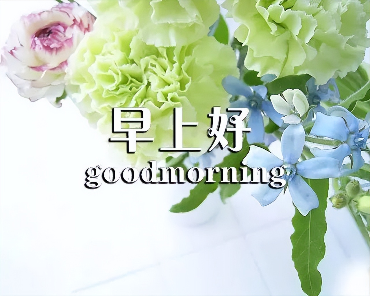 4月16日早上好祝福大全 早上好问候动态表情图片 一声问候 幸福吉祥图片