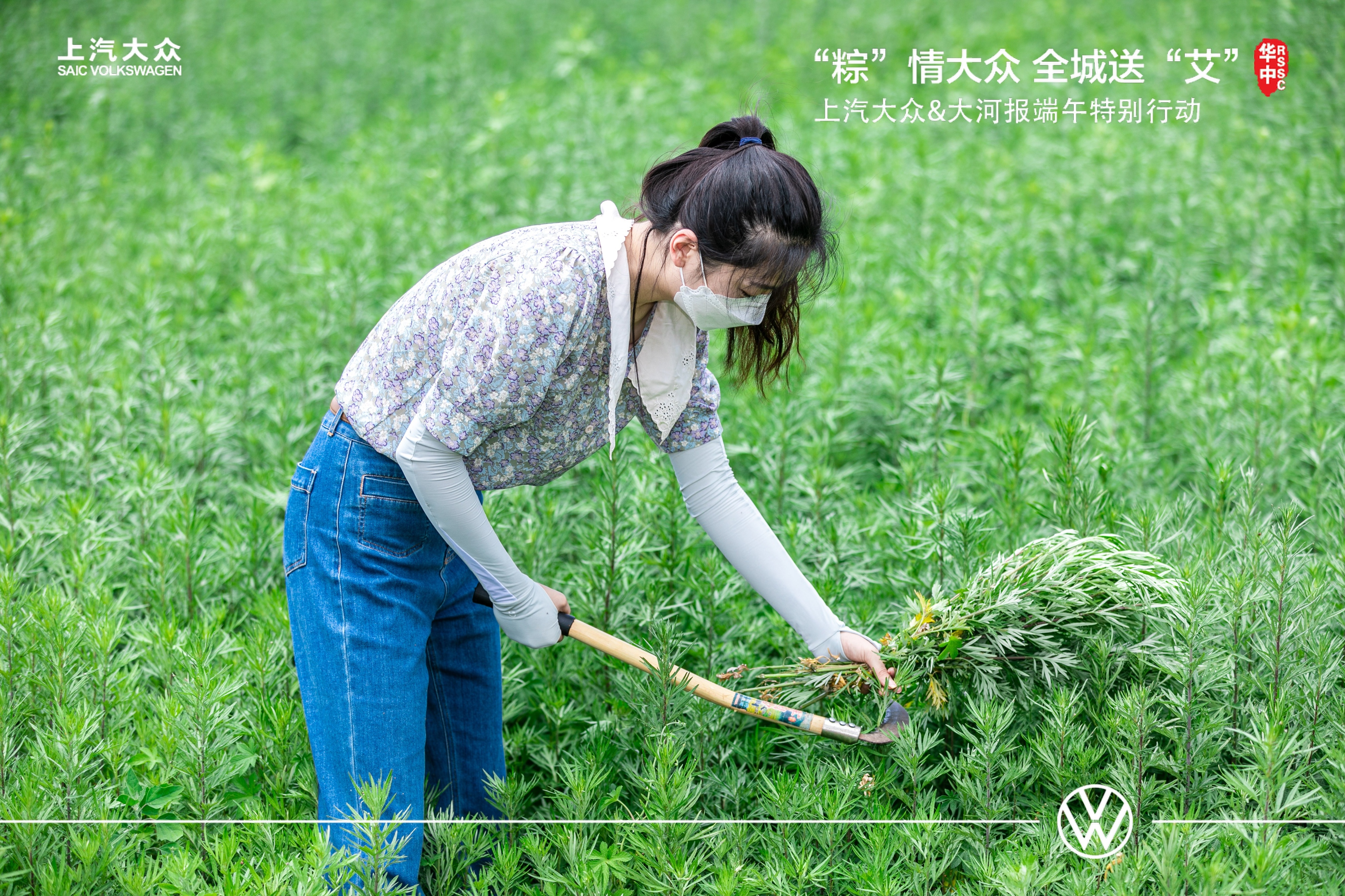 大河报汽车网