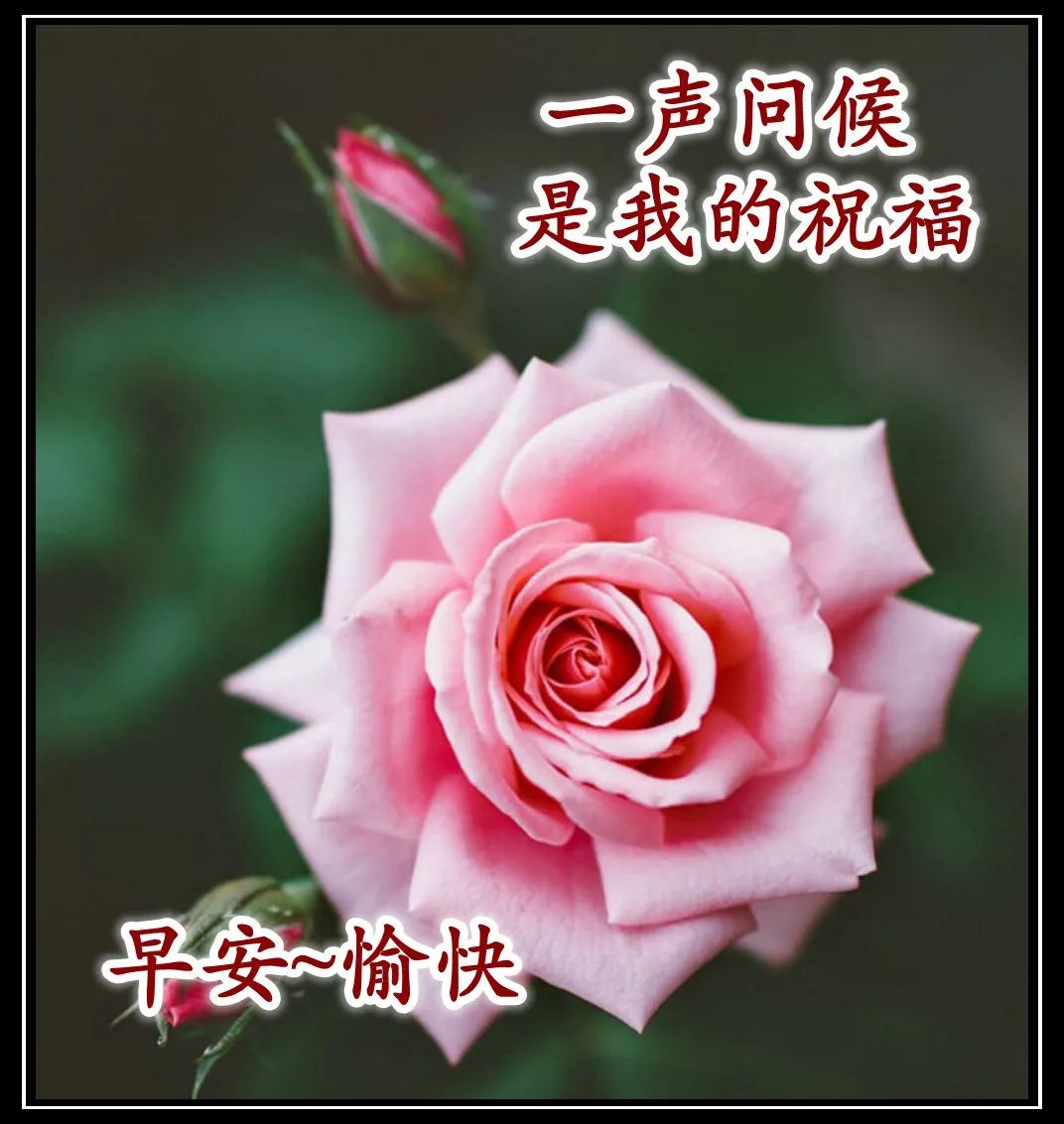 周日微信早上好的问候语祝福图片鉴赏 快乐来自心灵的感恩和祝福图片
