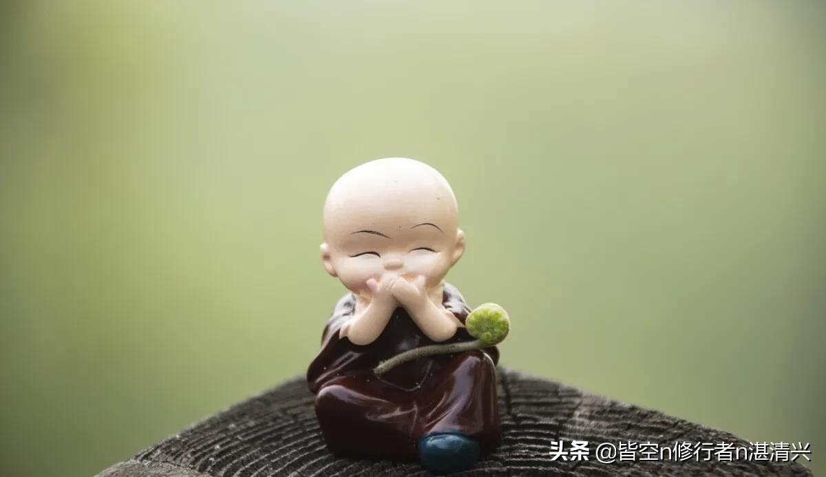 回首半生，才觉得人生一切皆是命中注定