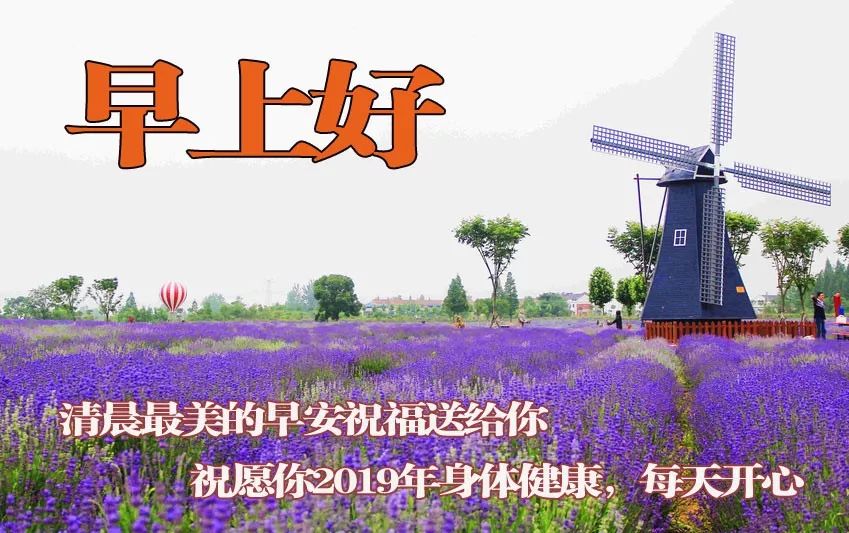 朋友圈里非常美丽的早安问候动态唯美图片 烦恼纠结看开就好图片
