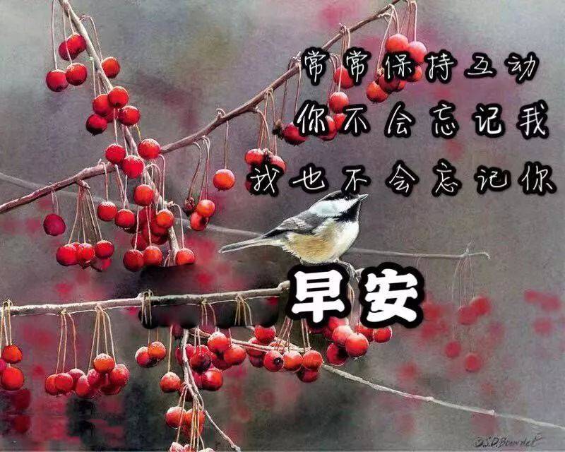 春天早上好图片大全 送给朋友早上好图片问候 一句问候愿你幸福安康图片