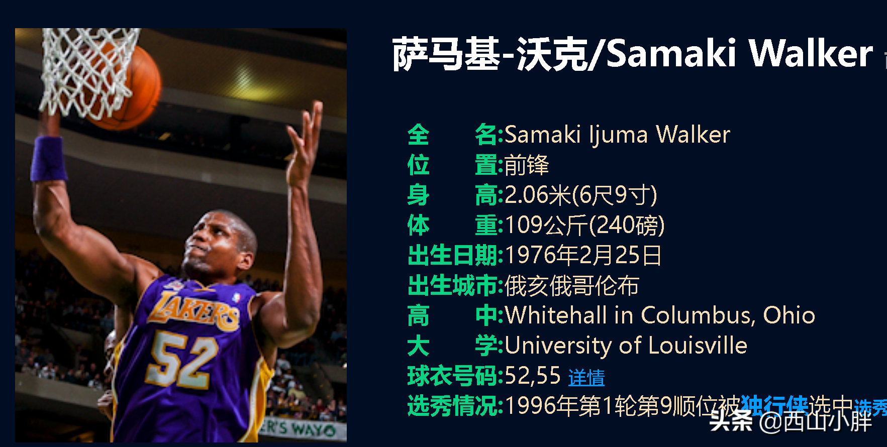 黄金一代nba指哪些球员(NBA被吹成神的96黄金一代，只有9人拿到冠军，96年不止有科比)