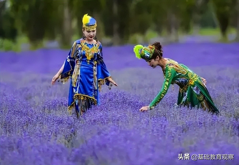 走遍新疆：永远的等待，阿依古丽的熏衣草