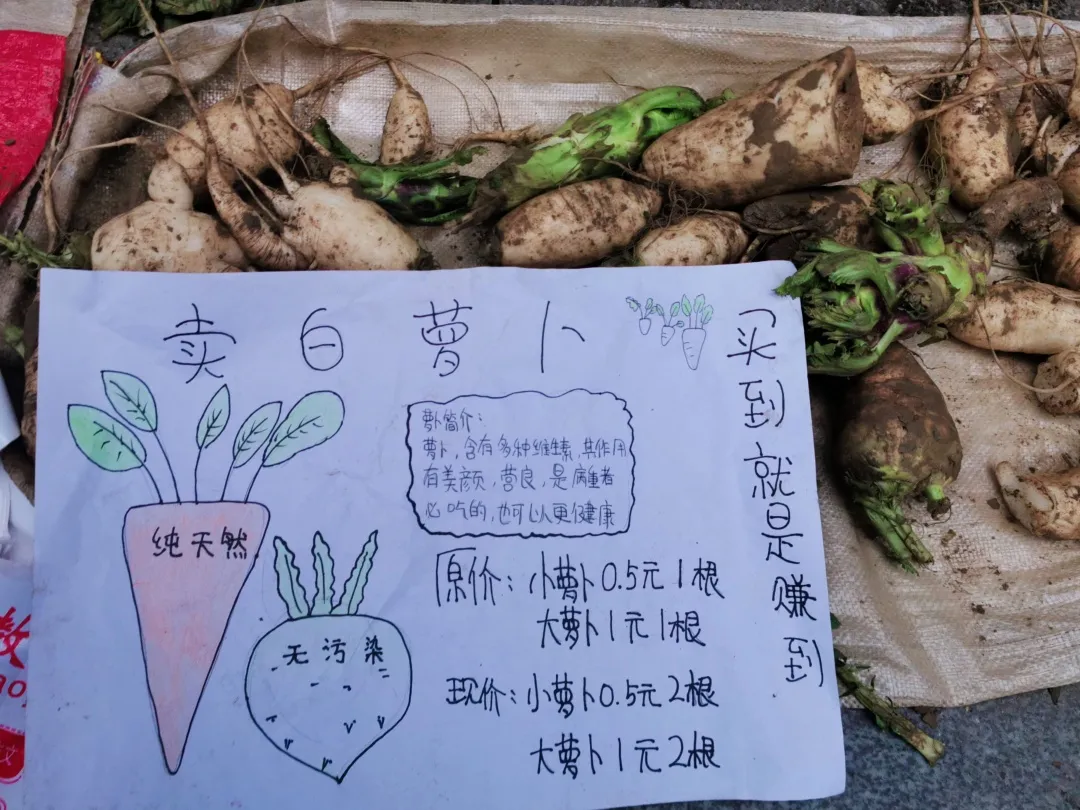 「城南小学•德育工作」小基地大收获 劳动实践快乐多