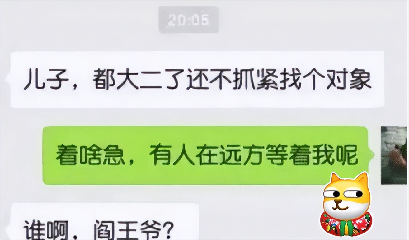 大学生和家长的聊天记录走红，刻在DNA里的“嫌弃”引发网友共鸣