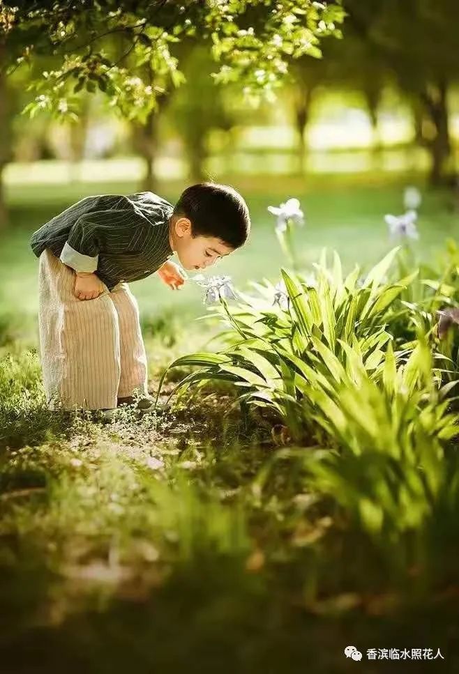思维导图“画”作文—缤纷世界《我的植物朋友——绿萝》（十九）