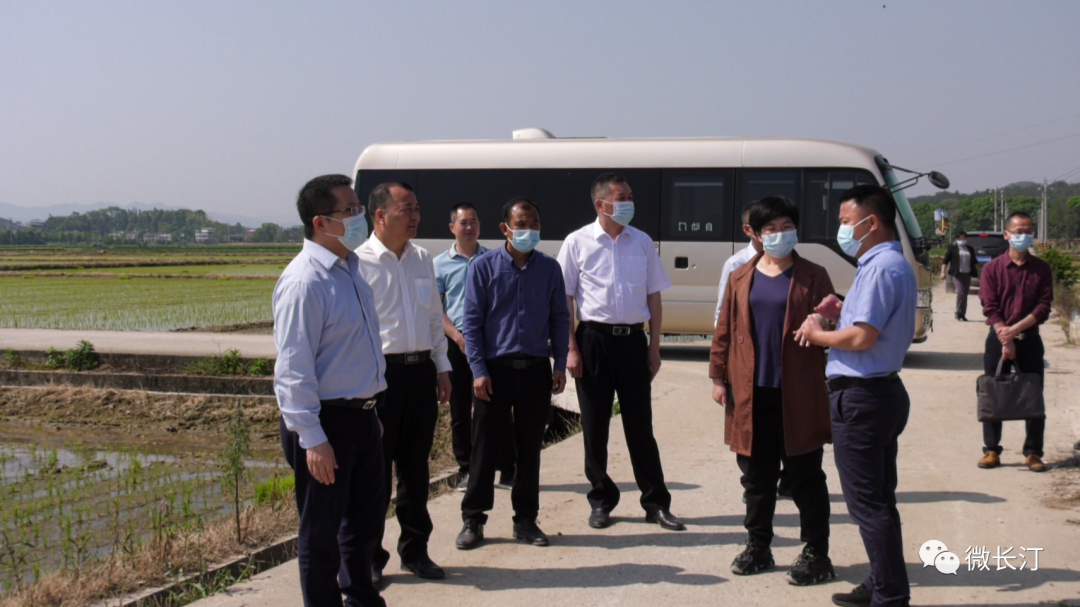 福建省农业农村厅领导来汀调研