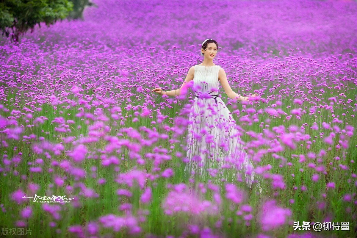 中年姐姐拍摄唯美人像，参考女摄影师的5句口诀，照片优雅有韵味