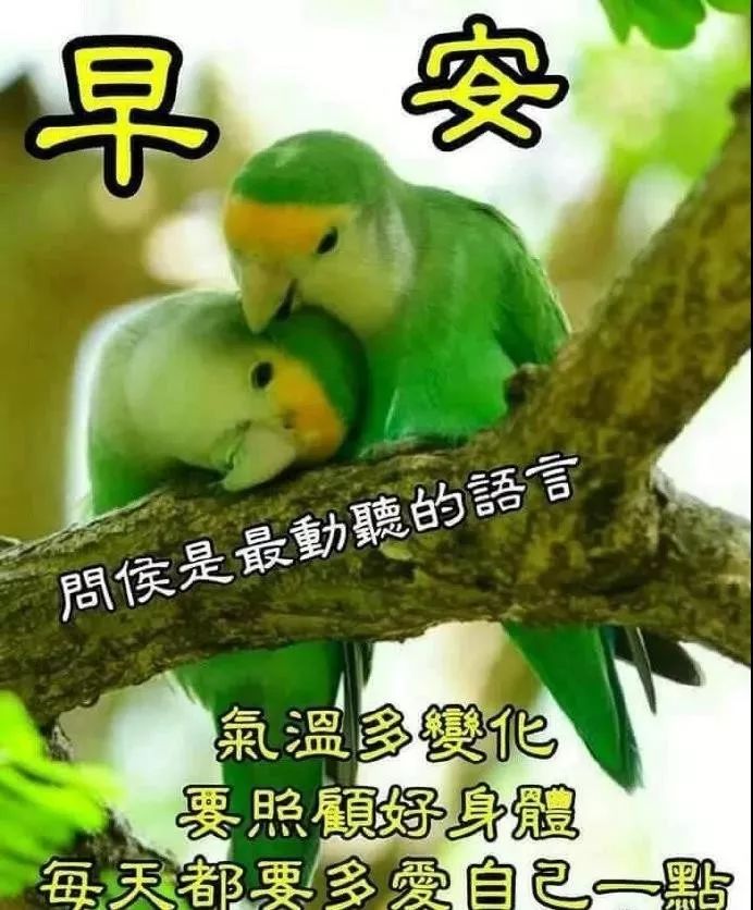 周末清晨祝福早上好的动态图片，阳光的早上好问候祝福语图片
