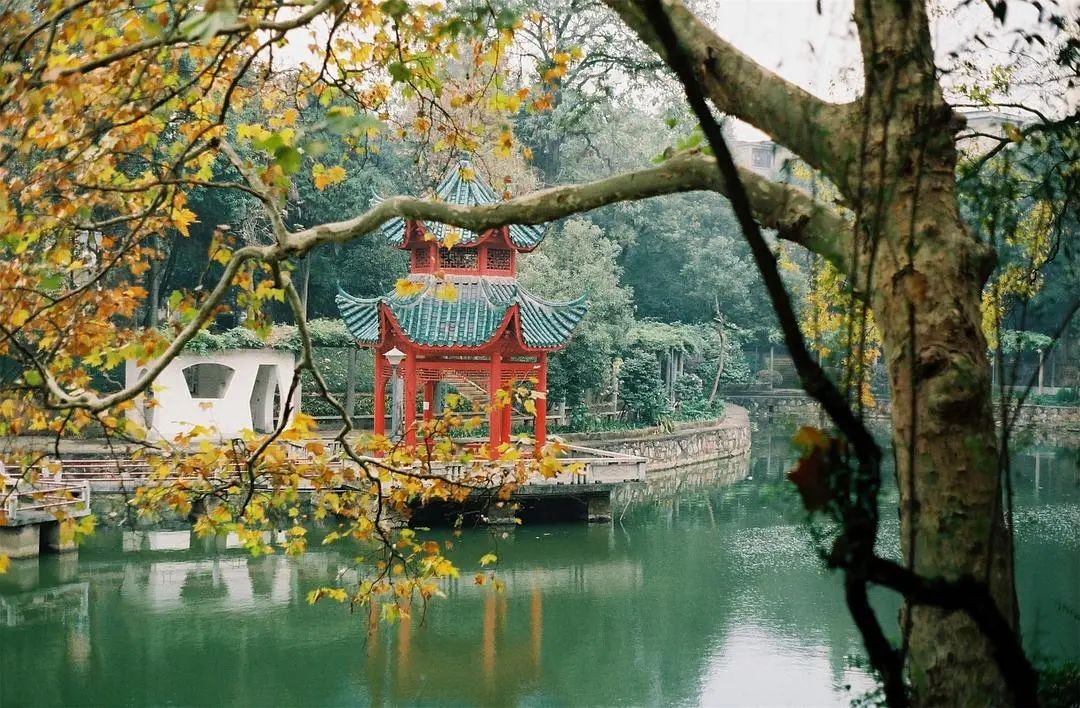 强！2022中国大学专业排名公布：湖南一高校100个专业上榜，3个专业全国第一！