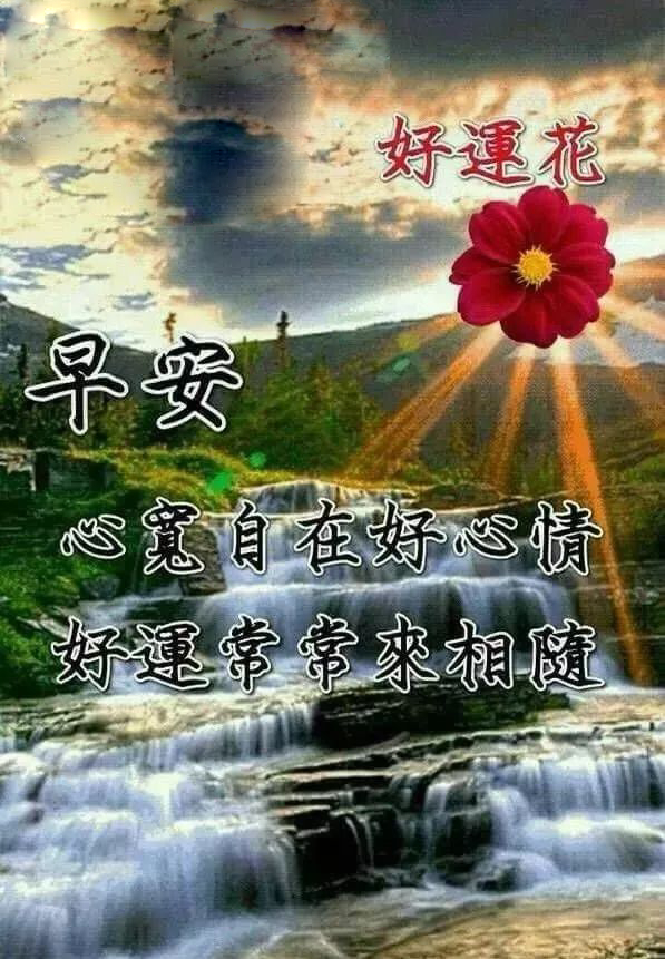 早上好问候动态表情图片 幸福安康，一路精彩，一路芬芳，一生平安图片