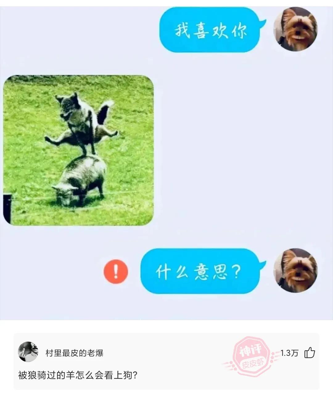 爆笑神回复：现在00后都这么厉害了吗？