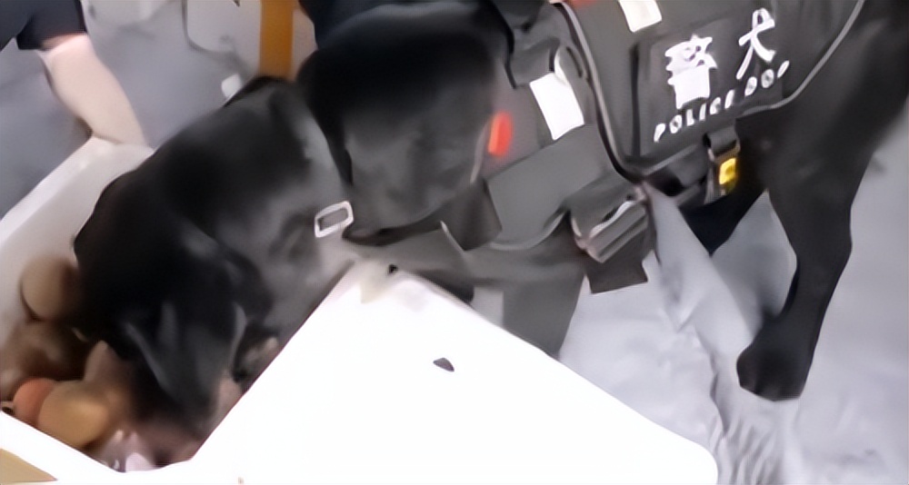 在殡葬专业上课，每天认真学习如何把人送走