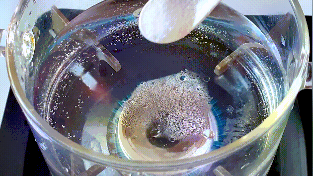 扁豆和虾仁这样做，自带香气，营养美味，厨房小白也能一学就会