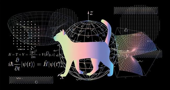 一只猫证明了平行世界的存在，若没有它，量子领域或许无人能突破