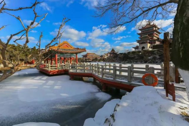 雪落成诗，愿冬去春来繁花盛开，2022年一切安好~