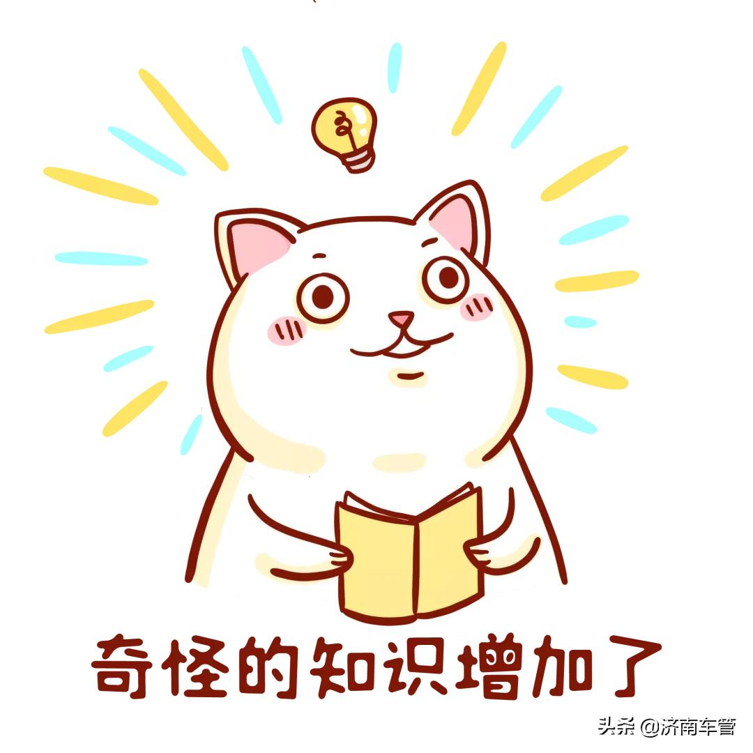 机动车登记证书编号,机动车登记证书编号在哪