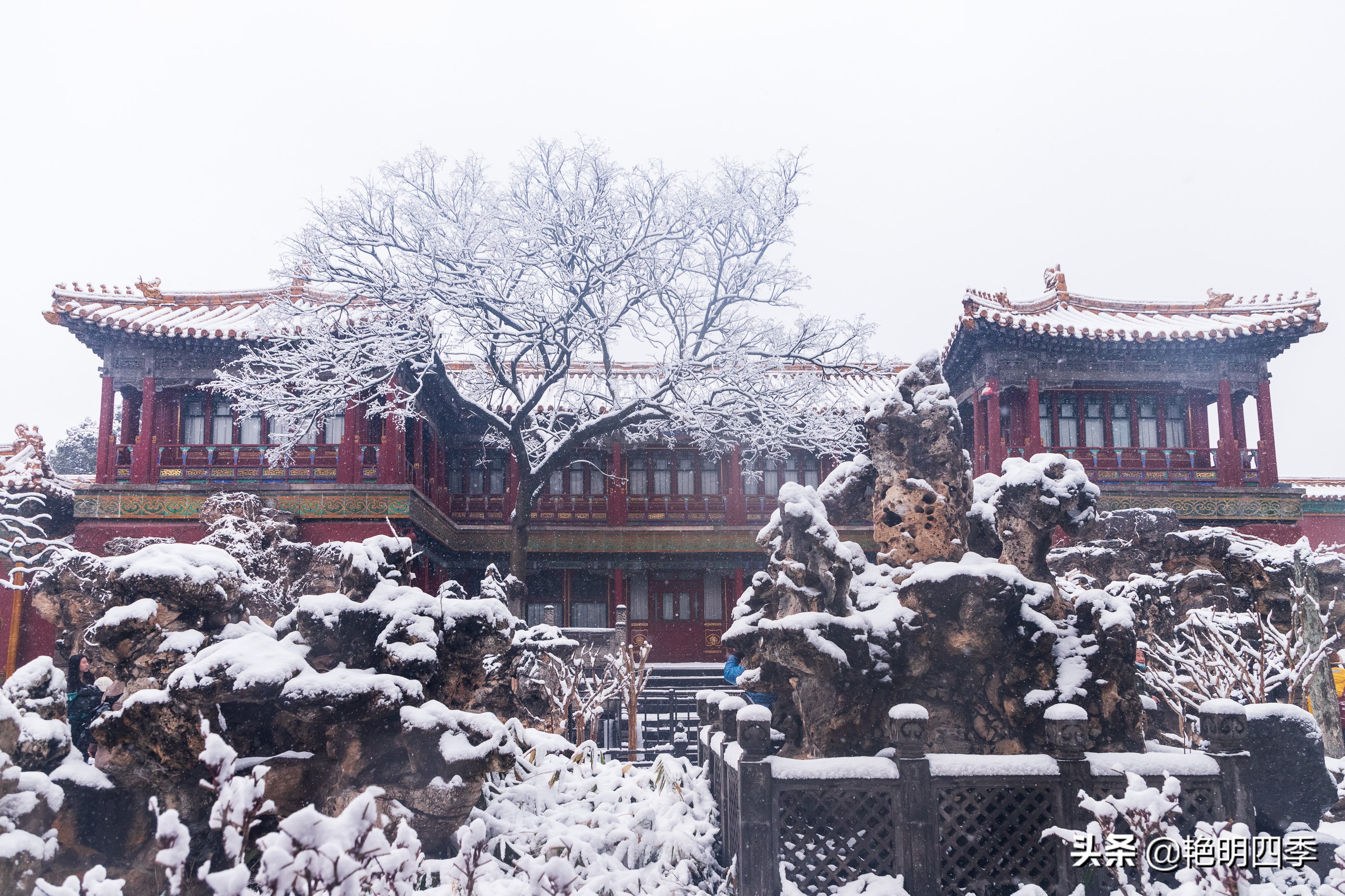 春天里，在紫禁城看一场大雪，与冬天做一个郑重的告别