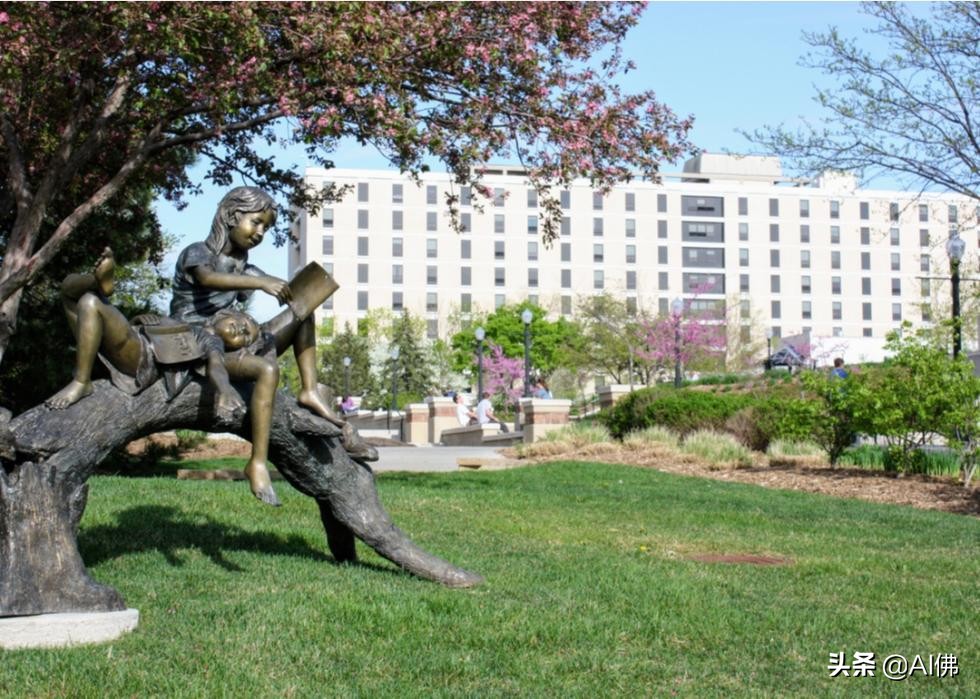 2022美国每个州最好的大学