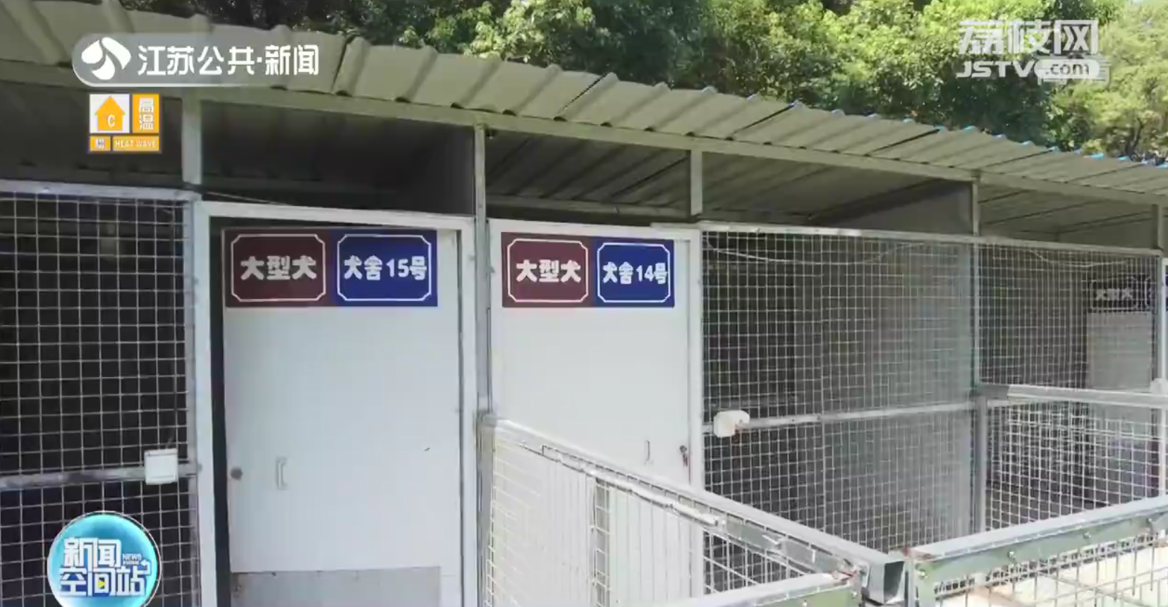 暖心！无锡现&ldquo;宠物方舱&rdquo;专门收容涉疫宠物