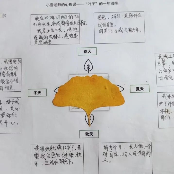心育未来 静待花开——南湖小学（含北区）心理健康教育工作掠影