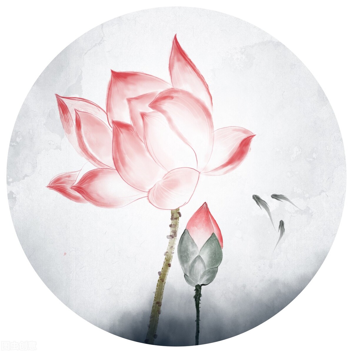 禅意静心唯美意境,古风仙仙荷韵写意之美