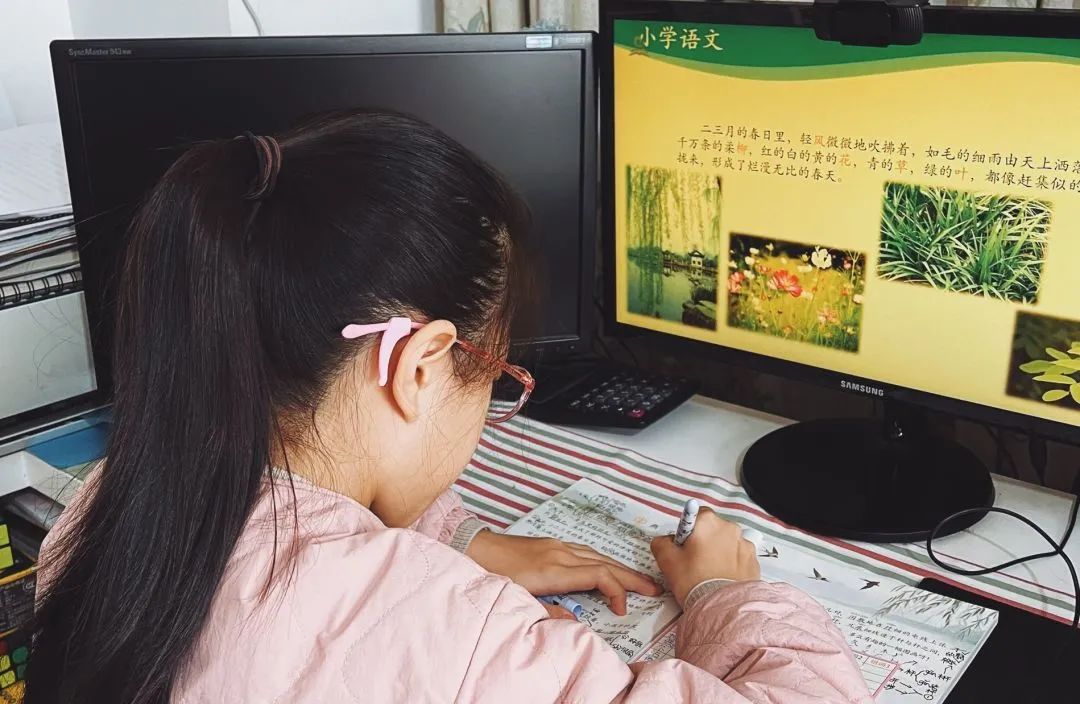 家长担忧网课效果？多校发布居家线上学习建议