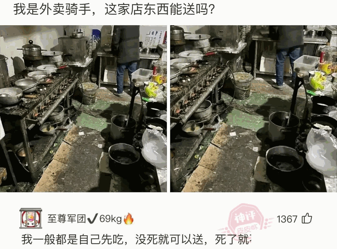 鸽子已经忘了自己的身份了，走起路来就像只老母鸡