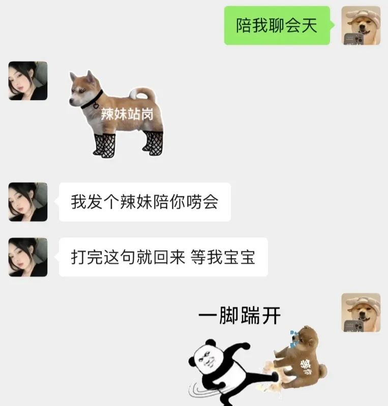 “站岗小狗”梗是什么意思 站岗小狗梗表情包