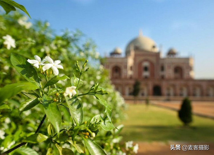 定焦鏡頭與變焦鏡頭：哪種鏡頭類型最好？