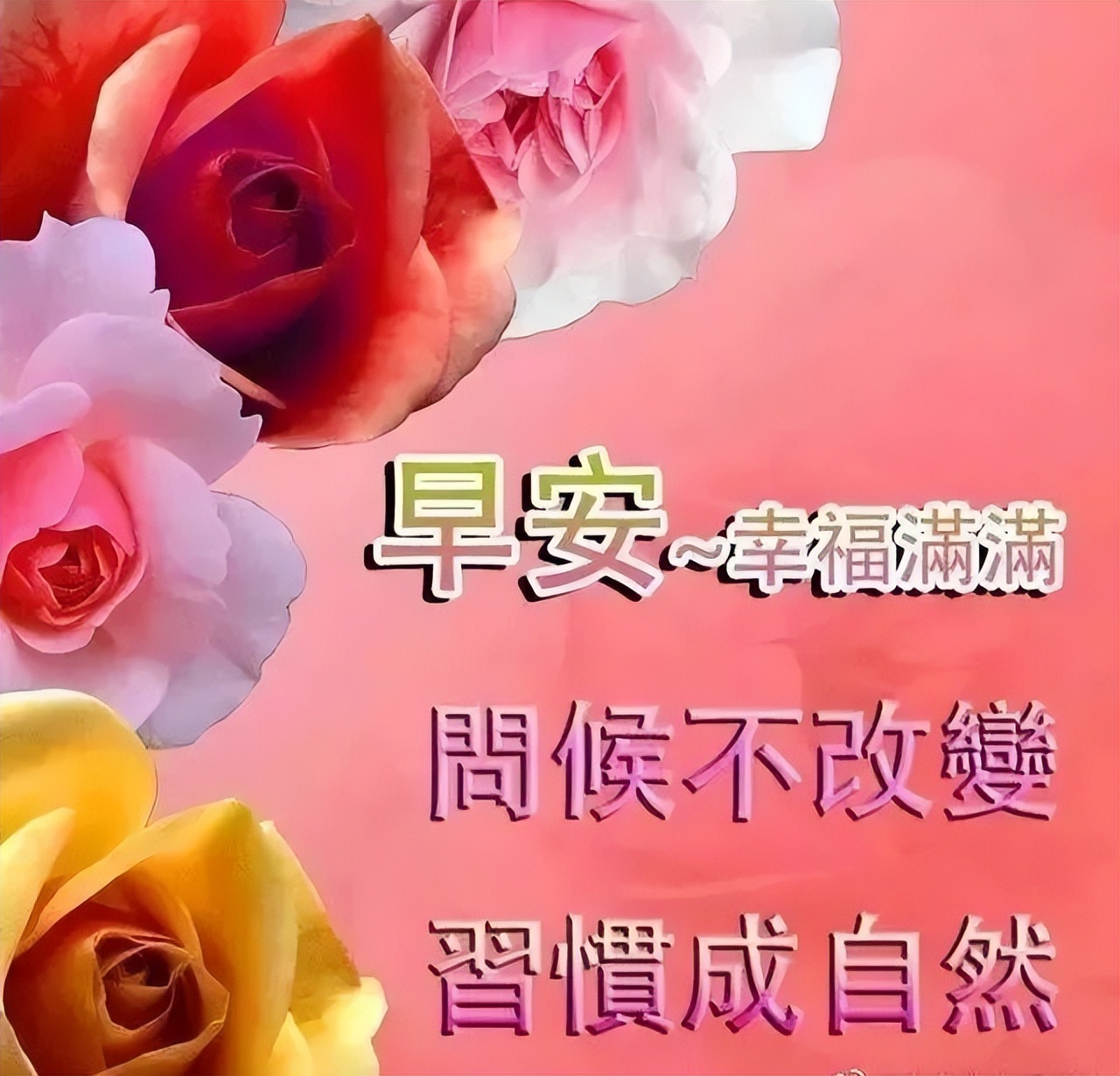 朋友圈早安励志文案，舍才是得最大的机会图片